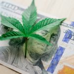 Catania Hashish Purchase Guide img-107.jpg