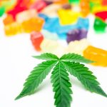 Szeged Cannabis Guide: Buying Weed, Laws, and Strains img-1272.jpg