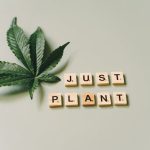 Bergen cannabis dispensary img-1496.jpg