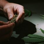 Premium Cannabis Shop in Dortmund img-1764.jpg