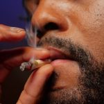 Marseille Cannabis: Online Shop, Legal Landscape, and Culture img-1778.jpg