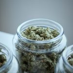 Bordeaux Cannabis Shop: Your One-Stop Destination for Premium Marijuana, Hemp, and CBD img-1959.jpg