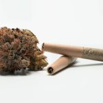 The Most Reliable and Affordable Cannabis Delivery Service in Helsinki img-2032.jpg