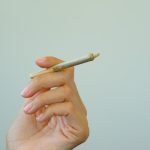 Buying Cannabis in Spain: A 2024 Guide img-2035.jpg