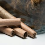 Thessaloniki the second largest city in Greece is quickly becoming a hub for plant based medicine wellness products and a vibrant cannabis community img-2124.jpg