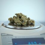 Edinburgh Cannabis Shop: Your Go‑To Destination for Premium Weed and CBD img-2132.jpg