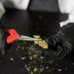 Cologne cannabis shop img-2204.jpg