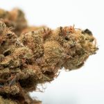 Cannabis Delivery Mannheim: Fast, Discreet, and Affordable img-2363.jpg