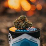 Germany’s cannabis scene is evolving rapidly img-2445.jpg