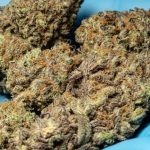 Looking for a reliable cannabis dispensary in the heart of Italy? img-246.jpg