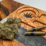 Brno: The Emerging Hub for Premium Cannabis in the Czech Republic img-2601.jpg