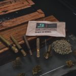 Cannabis in Gothenburg: Laws, Culture, and Market img-2637.jpg