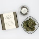 Florence Cannabis Guide: Where to Buy and Legal Landscape img-2686.jpg