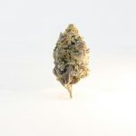 Your Ultimate Guide to the Best Weed Shop in Poznań img-2718.jpg