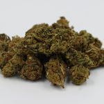 Córdoba Cannabis Delivery: Your Ultimate Guide img-2830.jpg