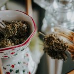 Bonn Cannabis Shop img-2932.jpg