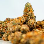 Naples Weed Shop: Buy the Best Quality Cannabis Online img-2980.jpg
