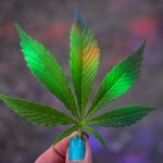 Bonn cannabis dispensary img-3015.jpg