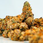 Welcome to Klaipeda’s premier destination for high‑quality cannabis, marijuana, hemp, THC, and weed img-3142.jpg
