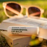 Looking for the best THC vape experience in Bordeaux img-3236.jpg