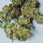 Wroclaw is quickly becoming one of the most vibrant cannabis markets in Europe img-3314.jpg