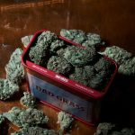 Welcome to the premier cannabis dispensary in Ostrava, Czech Republic img-3371.jpg