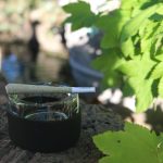 Wroclaw Cannabis Shop: Quality Weed, Hemp, and THC Products at Competitive Prices img-3380.jpg