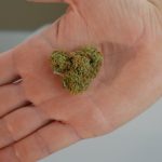 Jurmala Cannabis Shop: Your Guide to Buying Weed Online and In-Store img-371.jpg