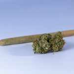 Monaco Cannabis Laws & How to Buy Hashish Legally img-50.jpg