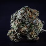 Palermo’s vibrant nightlife, historic streets, and growing Italian cannabis scene make it the perfect destination for anyone looking to explore THC vape options img-59.jpg