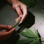 Buy Hashish in Sintra img-911.jpg