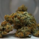 Szczecin Cannabis: Your Guide to Quality, Affordability, and Compliance img-999.jpg