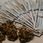 Discover Premium Weed and Cannabis Options in the EU picture (15)